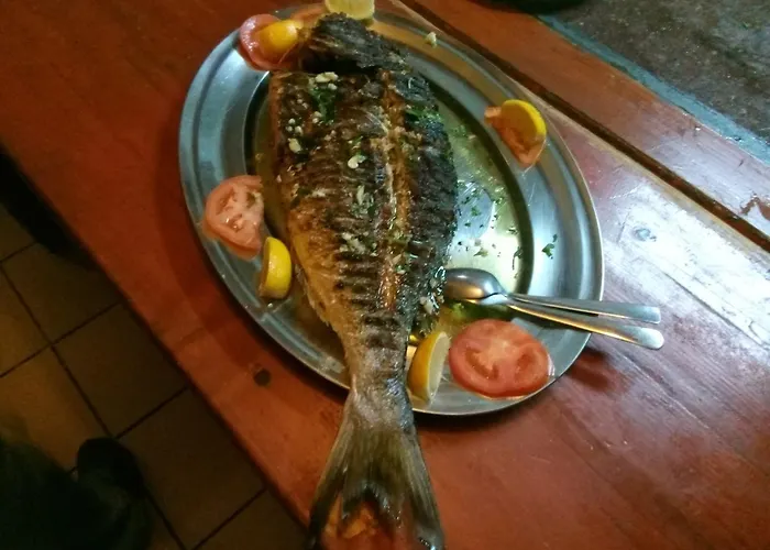 Bocac בית הארחה